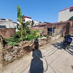 Cần bán 44,5m2(4,6×9,7) đất Lê Xá, Mai Lâm đường rộng 2,5m hướng Đông Bắc