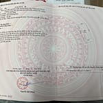 Cần bán 120m2(8×15) đất giãn dân Lực Canh, Xuân Canh, Đông Anh đường rộng 6m