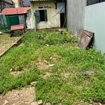 Cần bán 56m2(4×14) đất Đông Trù Đông Hội đường rộng 2,2m