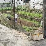 Bán đất 51,3m² tại Đông Trù, Đông Anh – Gần cầu Đông Trù, giá chỉ 105 triệu/m²