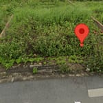 Bán đất tái định cư 80m² X1 Đông Hội Đông Anh, đường 7m, gần cầu Đông Trù, giá 165 triệu/m²